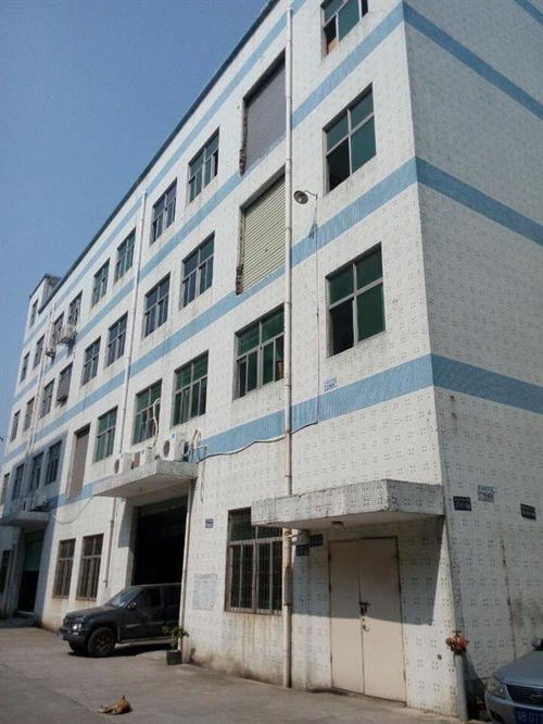 廣州市廠(chǎng)房結(jié)構(gòu)安全檢測(cè)公司哪家正規(guī)？工程設(shè)計(jì)需重視專(zhuān)業(yè)檢測(cè)